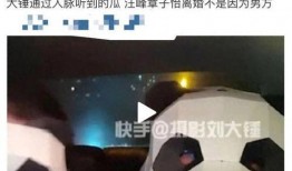 刘大锤最新爆料直播,娱乐圈最新爆料大揭秘！